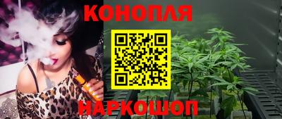 PSILOCYBIN Будённовск