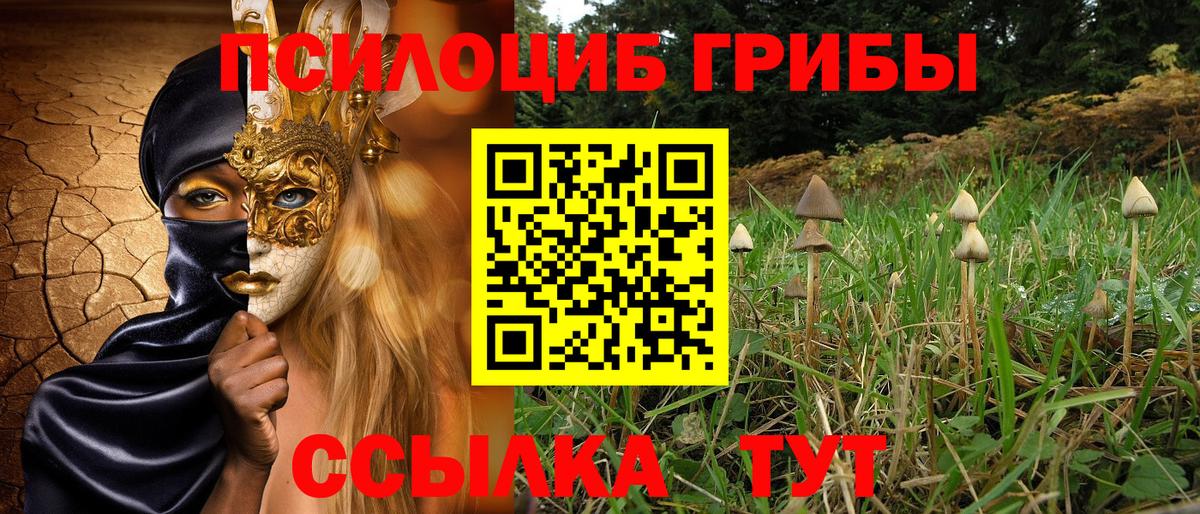 Псилоцибиновые грибы Psilocybe Южноуральск