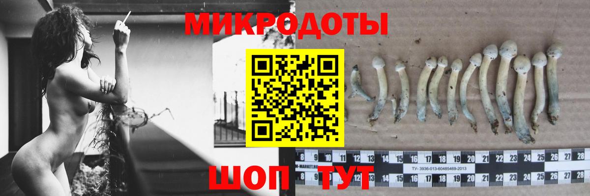 наркота  Галлюциногенные грибы Magic Shrooms  Вход с VPN  Южноуральск 
